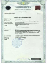  земляsmol.webp