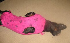 IMG_1283.jpg