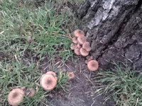 2013-10-29 08.13.12.webp