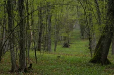 IMGP5008_1100.jpg