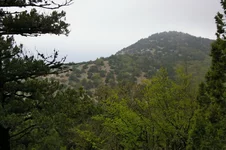 IMGP5027_1100.webp