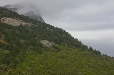 IMGP5032_1100.webp