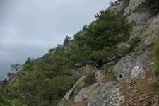 IMGP5042_1100.webp