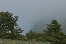 IMGP5057_1100.webp