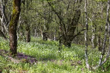 IMGP5084_1100.jpg