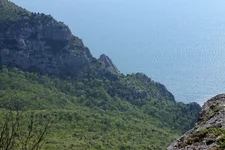 IMGP5086_1100.webp