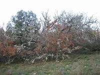 IMG_2819.webp