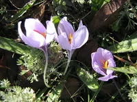 IMG_2939.JPG