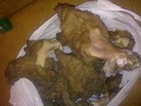 301020131239.webp