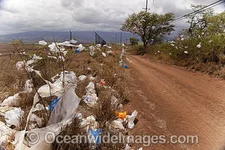 plastic-bag-pollution-70T5380-01.jpg