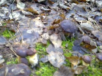 30102013054.webp