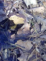301020131234.webp