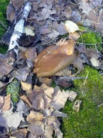 301020131235.webp