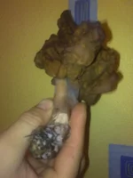 301020131240.webp