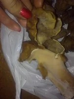 301020131241.webp