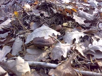 30102013693.webp