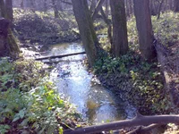30102013697.webp