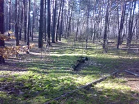 30102013700.webp