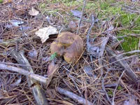 30102013701.webp