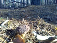 30102013703.webp