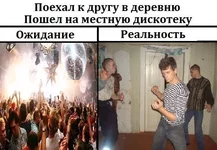 8.webp