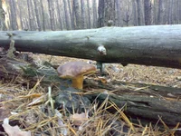 30102013709.webp