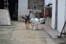 DSC_5725.webp