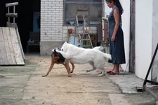 DSC_5731 (1).webp