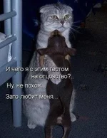 43kFDU0di68.webp