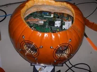 24_pumpkin_pc_3.jpg