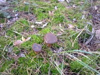 0083.webp