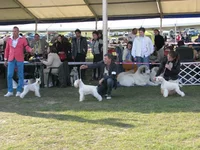 IMG_7253.webp