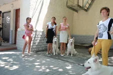 DSC_1145.webp