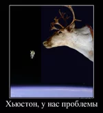 Olen'.webp