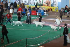 DSC_5327.webp
