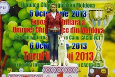 1DSC_5652 копия.webp