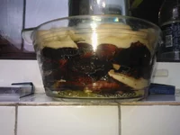 WP_000741.webp