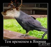 Olen'-3.webp