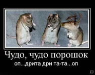 Olen'-4.webp