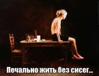 315667.jpg
