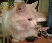 20131101_174835-1.jpg