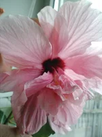 IMG160.webp