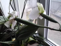 IMG164.webp