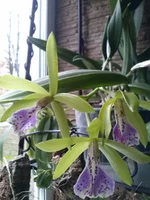 CAM00474.jpg