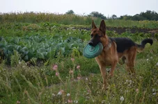 _2013 058.webp