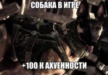 vI4tTRdkB2M.jpg
