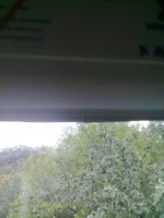 0050.webp