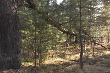  011.webp
