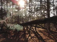  016.webp