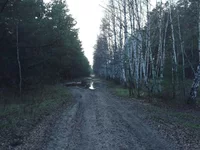  050.webp